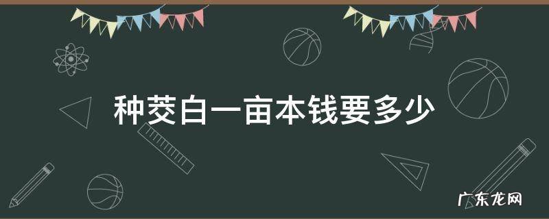 茭白种植一亩费用多少 种茭白一亩本钱要多少