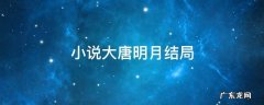 小说大唐明月结局 大唐明月小说男主是谁