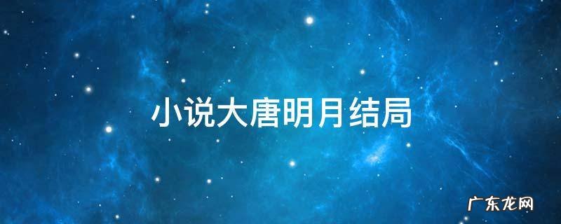 小说大唐明月结局 大唐明月小说男主是谁