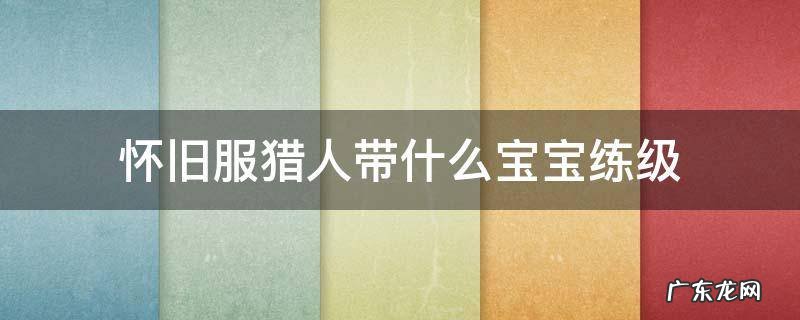 怀旧服猎人带什么宝宝练级 怀旧服满级猎人带什么宝宝