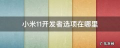 小米11开发者选项在哪里打开 小米11开发者选项在哪里