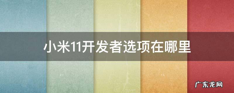 小米11开发者选项在哪里打开 小米11开发者选项在哪里