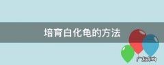 培育白化龟的方法 怎么孵化白化龟