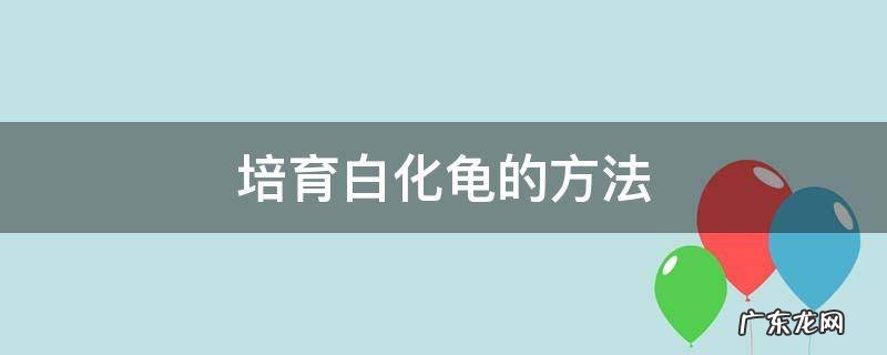 培育白化龟的方法 怎么孵化白化龟