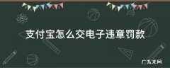 支付宝如何处理电子违章罚款 支付宝怎么交电子违章罚款