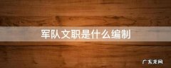 军队文职是什么编制