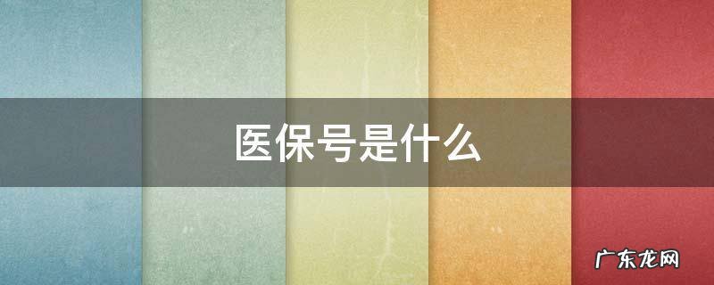 医保号是什么 医保号是什么号码