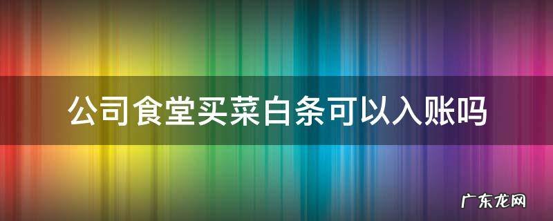 单位食堂白条入账 公司食堂买菜白条可以入账吗