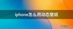 iphone如何设置动态壁纸 iphone怎么用动态壁纸
