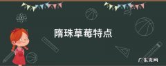隋珠草莓是四季草莓吗 隋珠草莓特点