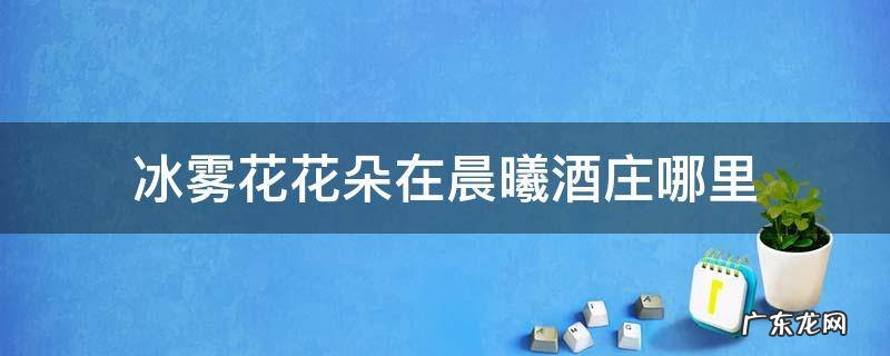 冰雾花花朵在晨曦酒庄哪里 冰雾花花朵在晨曦酒庄哪里视频