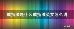 戒指绒是什么戒指绒英文怎么讲 戒指绒是什么意思