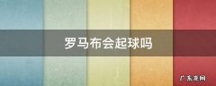 罗马呢会起球吗 罗马布会起球吗