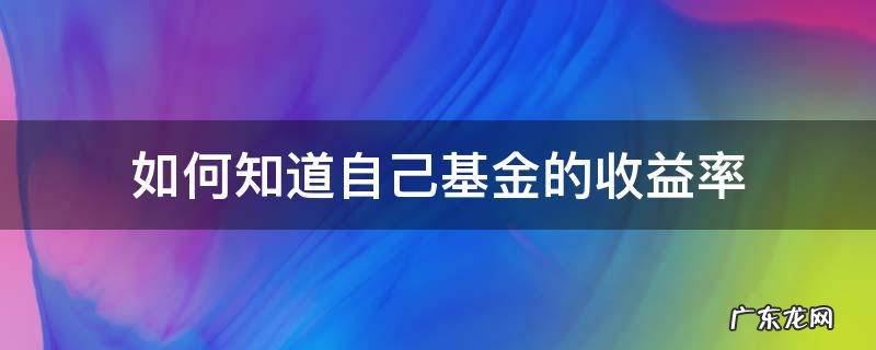 如何知道自己基金的收益率 怎么看自己的基金收益率