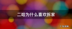 二哈为什么喜欢拆家 你以为二哈只会拆家吗