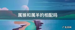 属羊与属猴的相配吗 属猴和属羊的相配吗