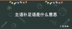 主语补足语是什么意思通俗点 主语补足语是什么意思