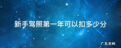 新手驾照第一年可以扣多少分飞斗2o 新手驾照第一年可以扣多少分