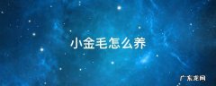 小金毛怎么养 一个多月的小金毛怎么养