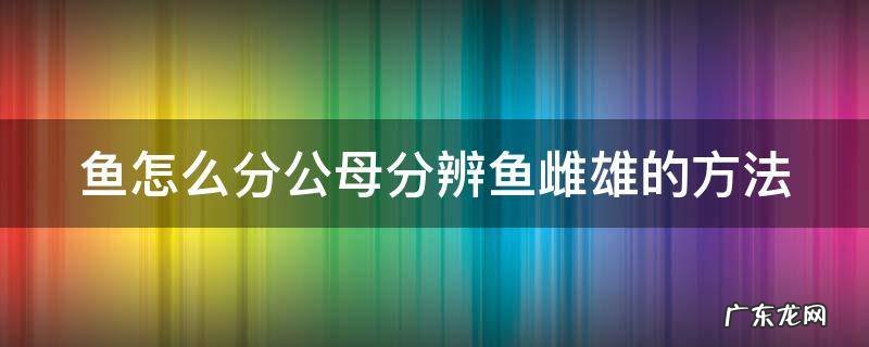 鱼怎么分公母分辨鱼雌雄的方法 鱼怎么分公母分辨鱼雌雄的方法图片