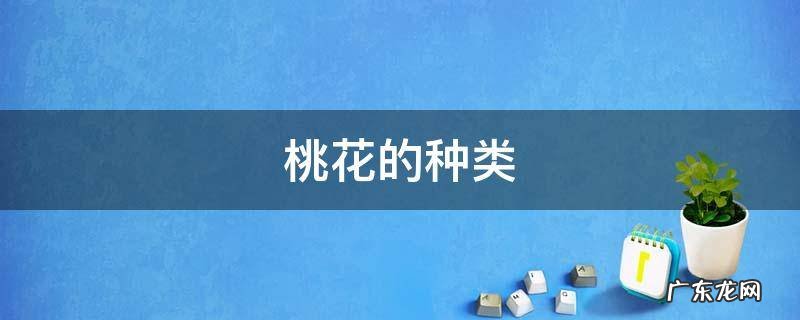 桃花的种类 八字桃花的种类