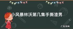 小风暴林沃分手是哪集 小风暴林沃第几集手撕渣男