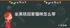 带猫回家坐高铁需要做些什么 坐高铁回家猫咪怎么带