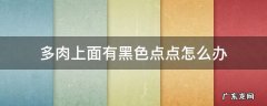 多肉上面有黑色点点怎么办 多肉长了很多黑色的小点点怎回事