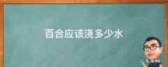 百合应该浇多少水 百合需要浇多少水