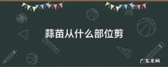 自己种的蒜苗从哪剪 蒜苗从什么部位剪