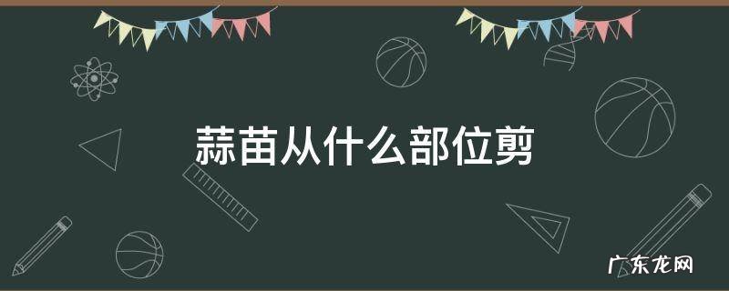 自己种的蒜苗从哪剪 蒜苗从什么部位剪