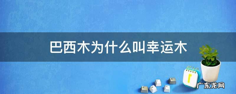 巴西木为什么叫幸运木 巴西木为什么叫幸运木上面那层蜡需要刮掉吗