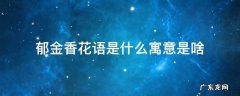 郁金香花语是什么寓意是啥 郁金香花语是什么意思 寓意