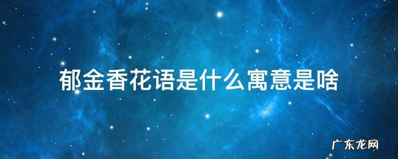 郁金香花语是什么寓意是啥 郁金香花语是什么意思 寓意