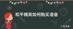 和平精英如何购买语音 和平精英怎么买包