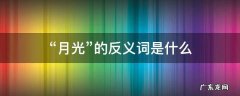 “月光”的反义词是什么 月光的反义词是什么