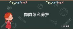 肉肉怎么养护 肉肉的栽培方法养护