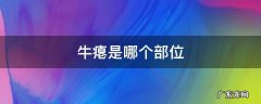 牛瘪是哪个部位 牛瘪是哪个部位取出来的