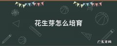 花生芽怎么培育 花生芽怎么培育在家