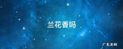 兰花香吗 君荷兰花香吗