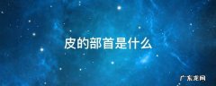 皮的部首是什么部首 皮的部首是什么