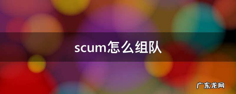 scum怎么组队 scum怎么组队邀请