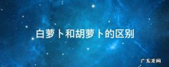 白萝卜和胡萝卜的区别 白萝卜和胡萝卜有什么区别