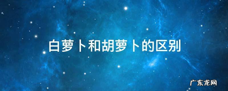 白萝卜和胡萝卜的区别 白萝卜和胡萝卜有什么区别