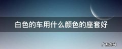 白色车子适合什么颜色的座套 白色的车用什么颜色的座套好
