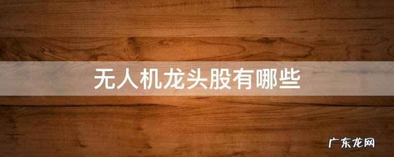 无人机 龙头股 无人机龙头股有哪些