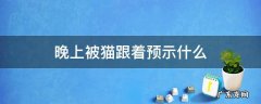 晚上被猫跟着预示什么 晚上被猫跟着预示什么天涯