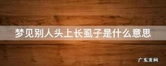 梦见别人头上长虱子是什么意思 梦见别人头上长虱子是什么意思周公解梦