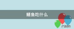 鳝鱼吃什么饲料 鳝鱼吃什么