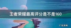 王者荣耀最高评分是16.0吗 王者荣耀最高评分是不是16.0